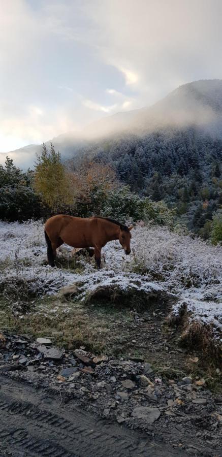 Guesthouse Robinzon Lalkhori Exteriér fotografie