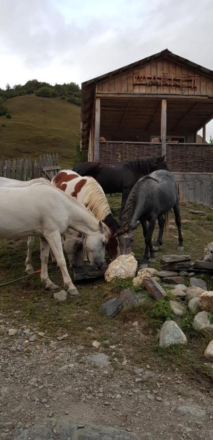 Guesthouse Robinzon Lalkhori Exteriér fotografie